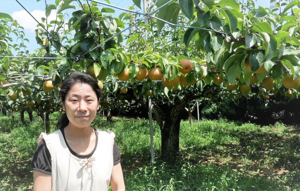 食べ物への感謝の心を育む